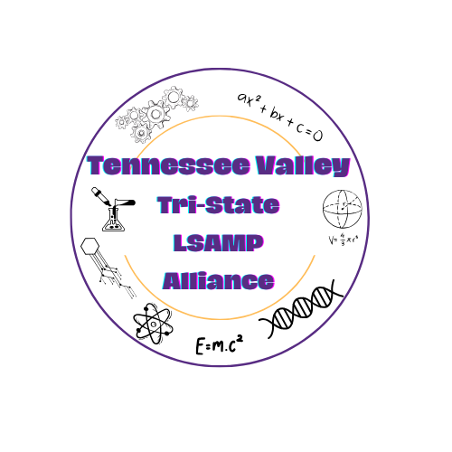 Louis Stokes Alliance for Minority Participation (LSAMP)