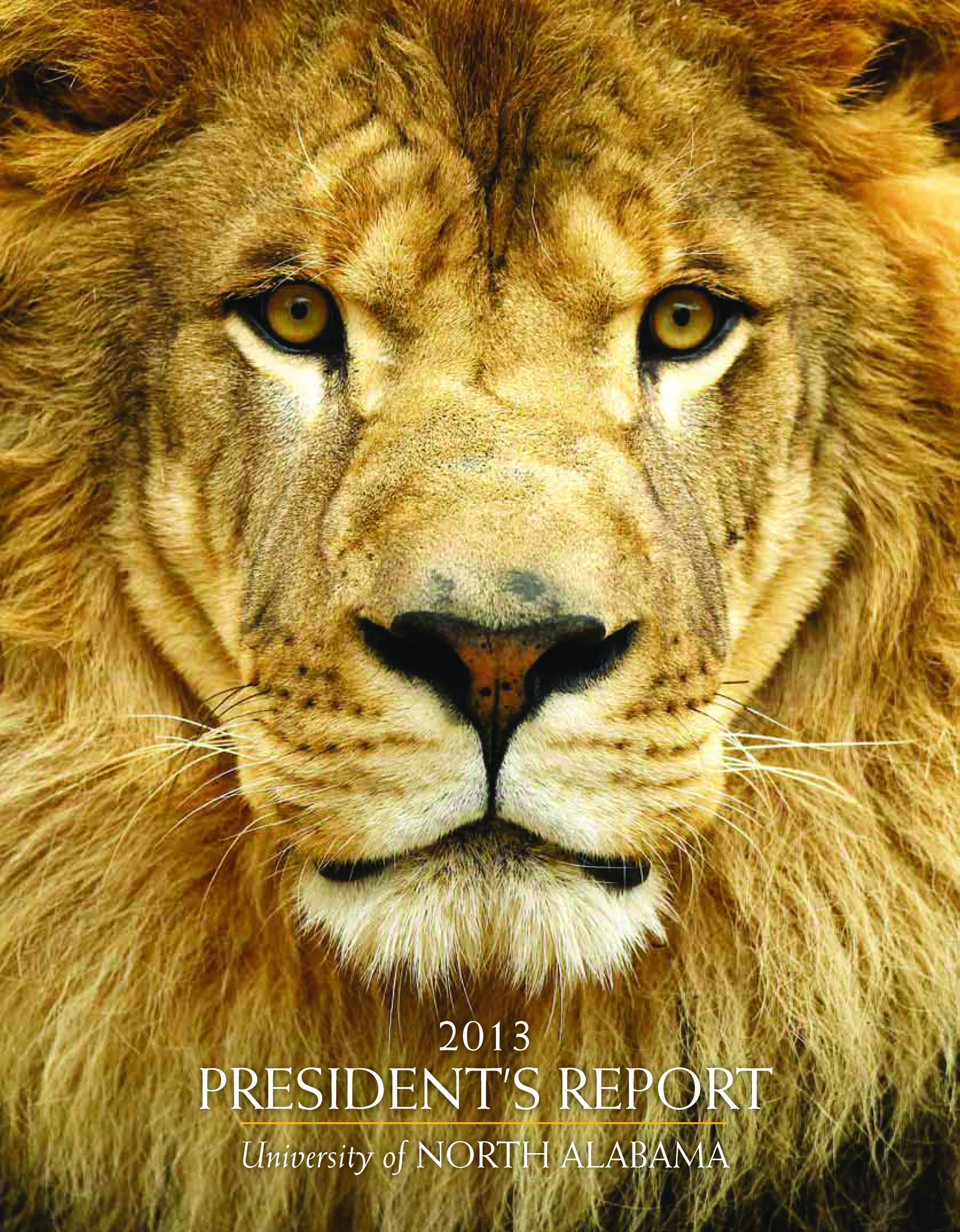 2013 Foundation Annual Giving Report