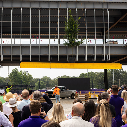 group watching beam go up