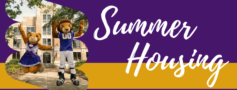 Summer Hall Application