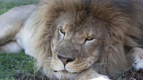 Taking an online course? Things to do and know: