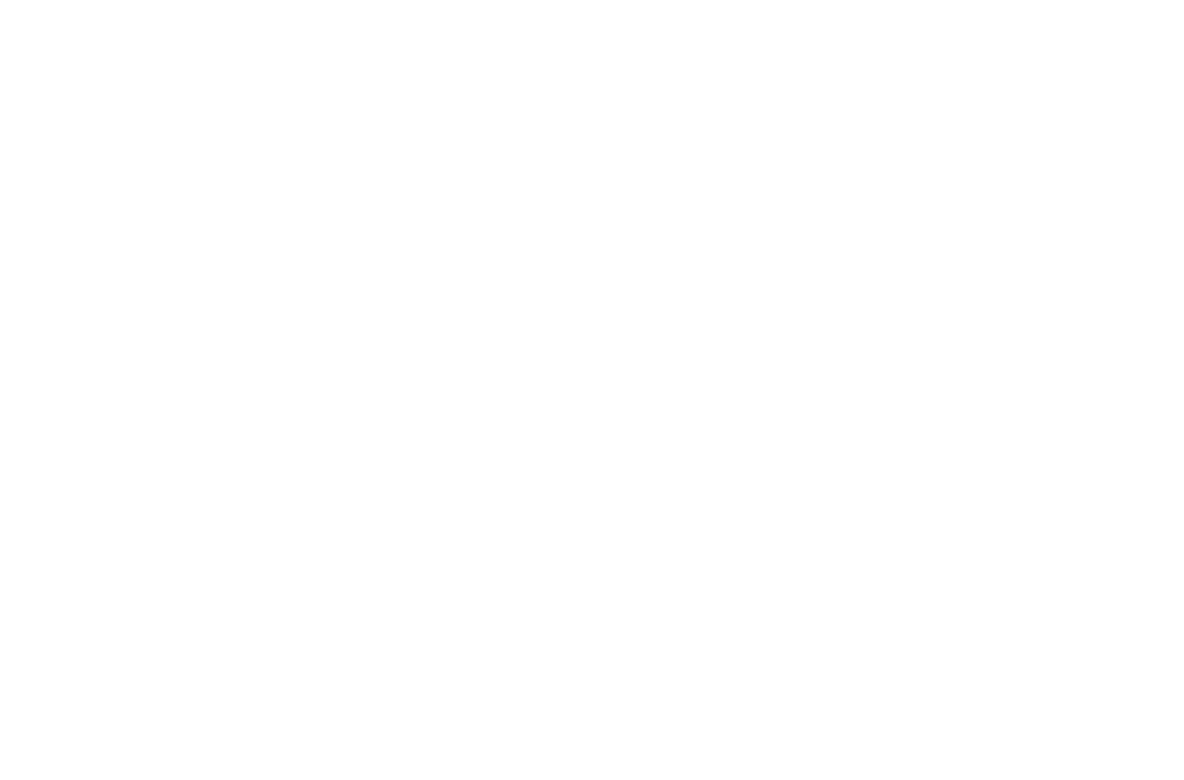 The Shoals Music Archive has officially launched at the University of North Alabama.
